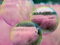 -尚贤河湿地
