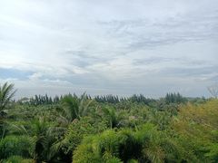 -海南清水湾莱佛士酒店