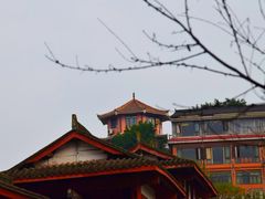 -重庆彩云湖湿地公园