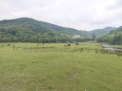 -宝业会稽山高尔夫俱乐部