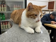-珊珊小笼馆(仙霞路店)