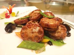 -豐柏轩食府