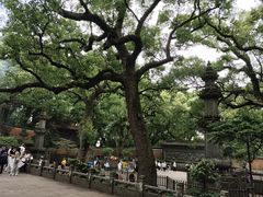 -普陀山风景名胜区-法雨禅寺