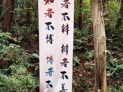 -句容茅山景区