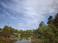 -春花秋色城市公园