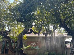 -Chom Cafe and Restaurant