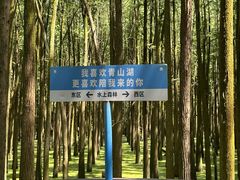 -青山湖景区