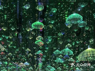 今天出去玩耍啦！ 刚进去的时候超级惊艳，非常适合拍照