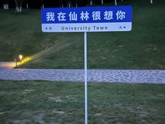 -羊山湖公园