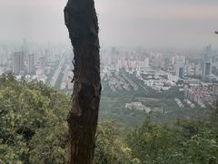 -大蜀山国家森林公园