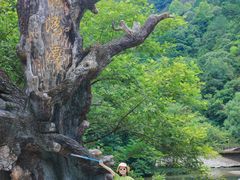 -龙湾潭国家森林公园