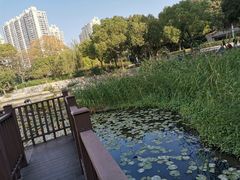 -苏州河梦清园环保主题公园