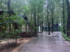 -林栖谷森林康养度假区