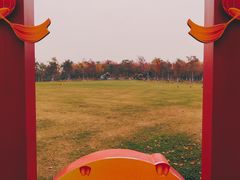 景点-上海海湾国家森林公园