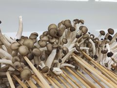 -玉林串串香(九号天地店)