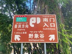 -野象谷景区