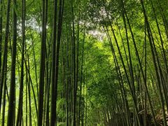 -藏龙百瀑风景区