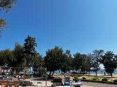 -阿弟特色海鲜餐厅·大排档(平潭店)