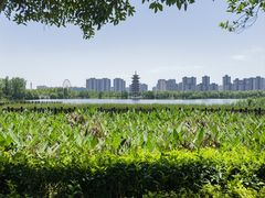 -洋湖国家湿地公园