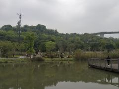 -飞凤山奥体公园