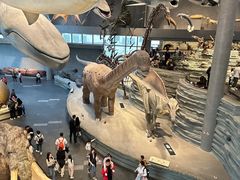 -国家自然博物馆