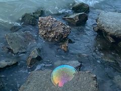 -太湖月亮湾