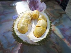 -槟城街头艺术街区