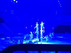 -珠海横琴长隆《卡卡虎奇遇记》