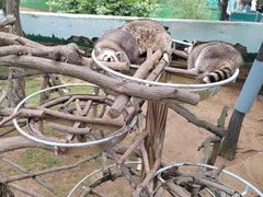 -西霞口神雕山野生动物世界