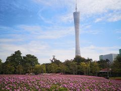 -二沙岛艺术公园