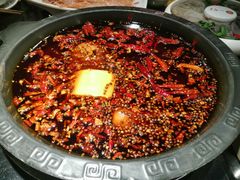 -一斗火锅·招财羊毛肚(泰吉滨江店)
