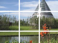 -上海市第一人民医院(松江南部)