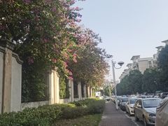 -滴水岩森林公园