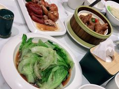 -老广酒楼(樱花店)