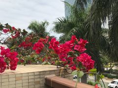 -茶油香闽南菜·花园餐厅(前埔店)