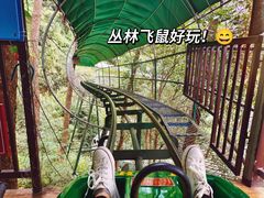 -大奇山国家森林公园