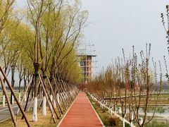 -永定河休闲森林公园