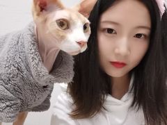 -猫色咖啡·猫咖