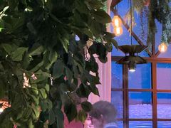 -同仁四季椰子鸡(宝安壹方城店)