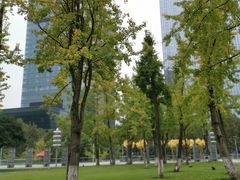 -重庆市江北嘴中央商务区中央公园