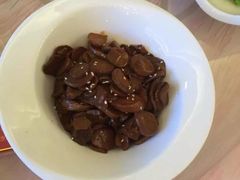 -上海安亭别墅花园酒店