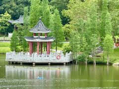 -国恩寺