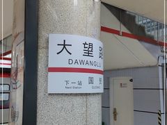 -大望路(地铁站)