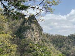 -王顺山国家森林公园