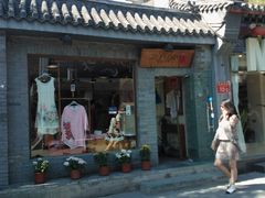 -一棵树(雨儿胡同)