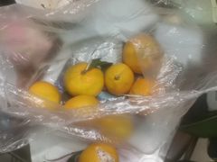 -前小桔亲子创意农场·草莓采摘·露营烧烤
