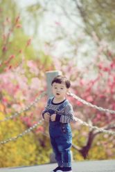 点击看大图 -DORA kids 朵拉儿童摄影花园店