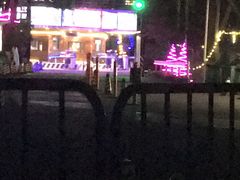 -枫花园汽车电影院(朝阳公园店)