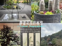 -云溪植物园