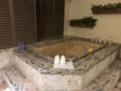 -春晖园度假酒店温泉